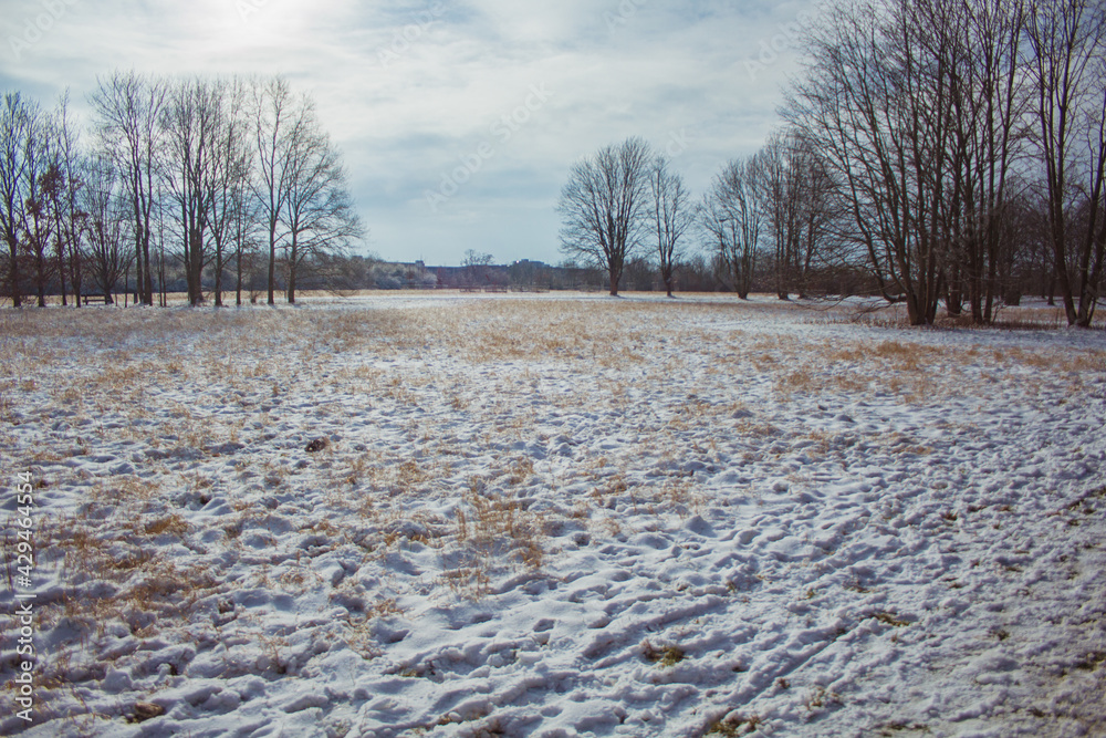 Winter landscape in Braunschweig, Lower Saxony, Germany. Snow covered Westpark on a cloudy winter day Winter landscape in Braunschweig, Lower Saxony, Germany. Snow covered Westpark on a cloudy winter day