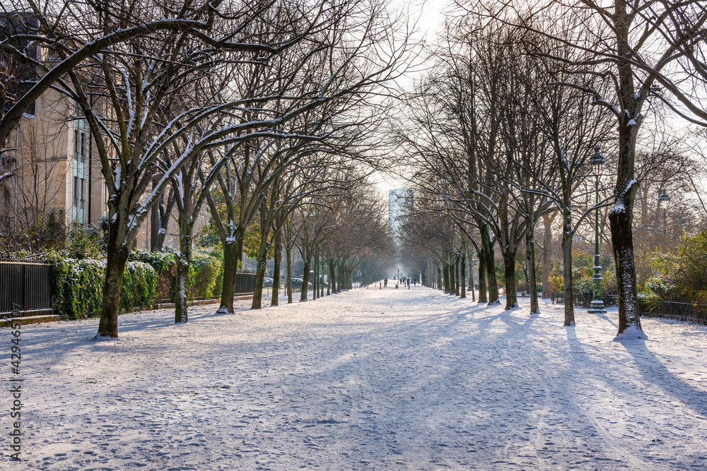 The 2021 Paris Snow Fall and some nice trees! The 2021 Paris Snow Fall and some nice trees!