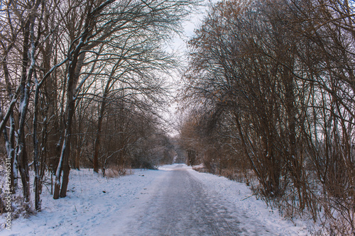 Winter landscape in Braunschweig, Lower Saxony, Germany. Snow covered Westpark on a cloudy winter day