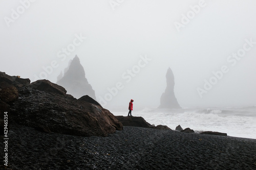 Person in red raincoat standing in distance in black sand beach in Iceland