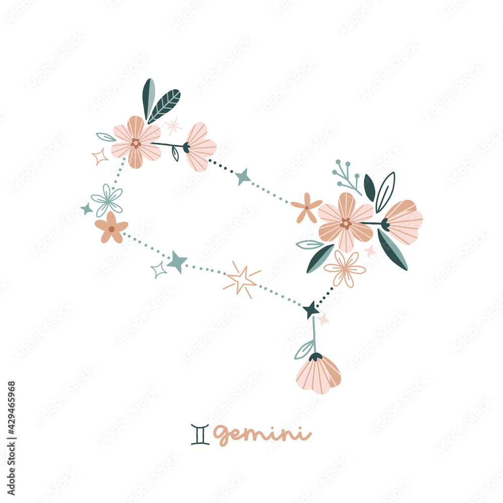 Flower Gemini zodiac sign clip art isolated on white. Celestial floral
