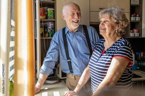 Senior couple together in their kitchen at home 