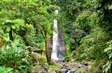 Gitgit waterfall in Singaraja regency of Bali