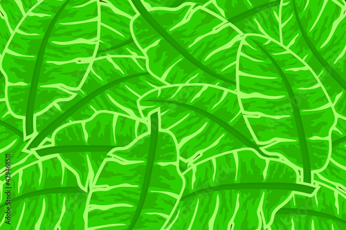green leaf background