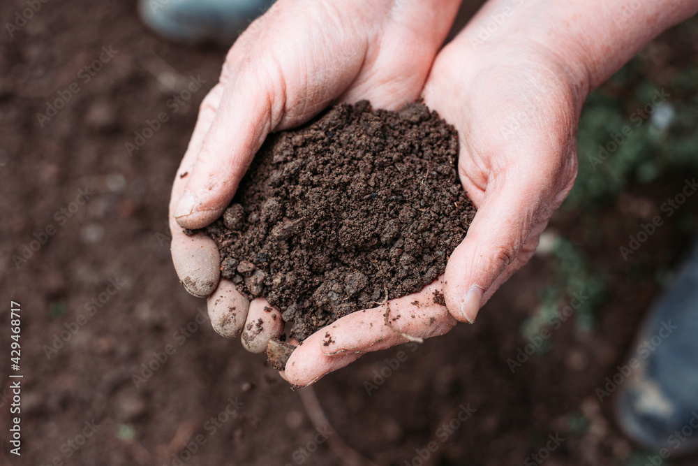 Female farmer hands holding soil. Environmental protection concept Female farmer hands holding soil. Environmental protection concept