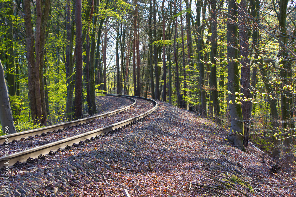 Obraz premium Schienen in der Sonne