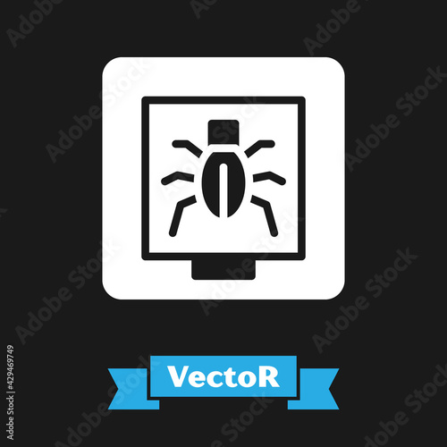White Insects in a frame icon isolated on black background. Herbarium. Vector