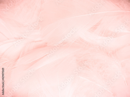 Beautiful abstract light pink feathers on white background, white feather frame on pink texture pattern and pink background, love theme wallpaper and valentines day, white gradient
