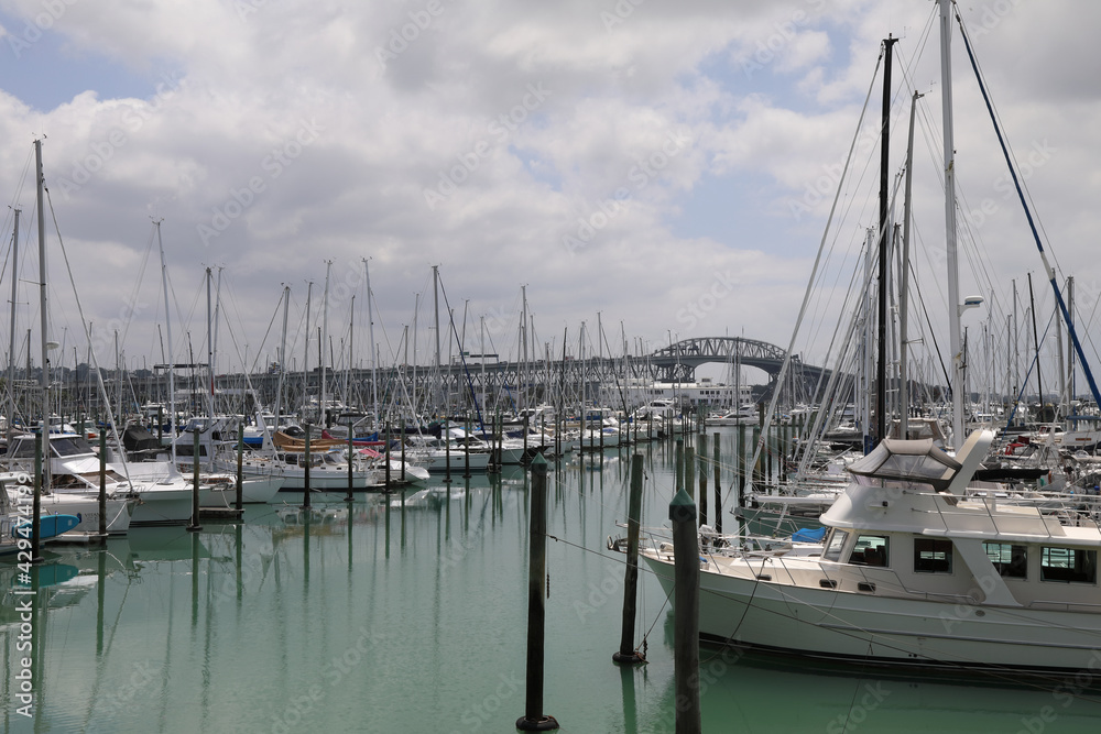Auckland Neuseeland / Auckland New Zealand / Auckland Neuseeland / Auckland New Zealand /
