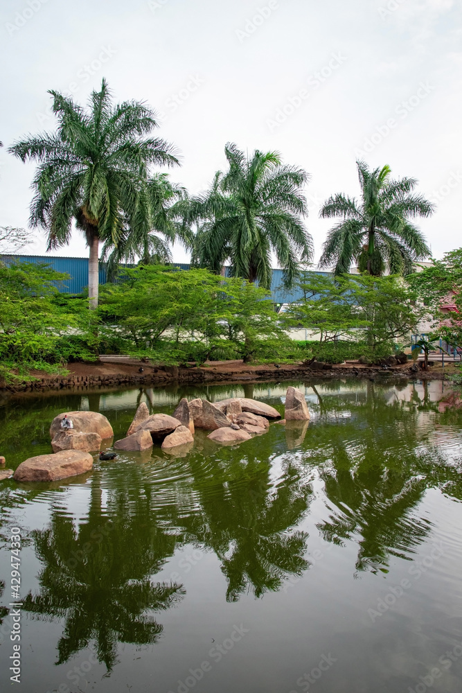 tropical garden with palm trees and a beautiful lagoon tropical garden with palm trees and a beautiful lagoon