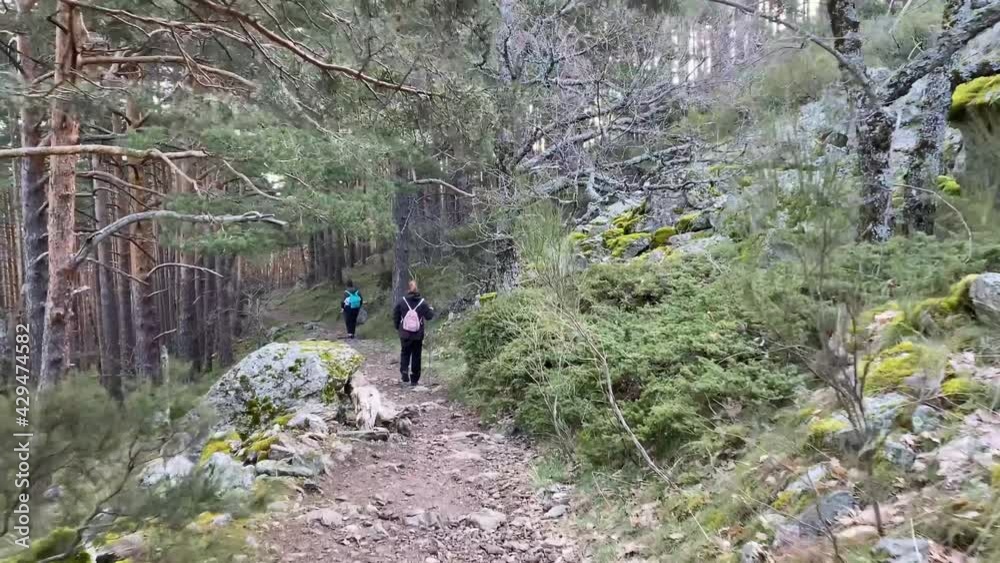 Single-parent family trekking through the forest. Single-parent family trekking through the forest.