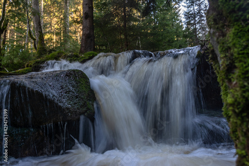 Cascade falls over mossy rocks