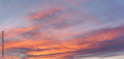 Pink orange sunset cirrus clouds on evening sky