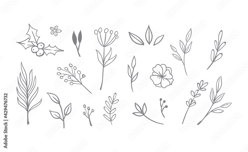 Plakat Hand drawn floral elements. Swirls, laurels, arrows, leaves, flowers and branches. Doodle botanical elements.