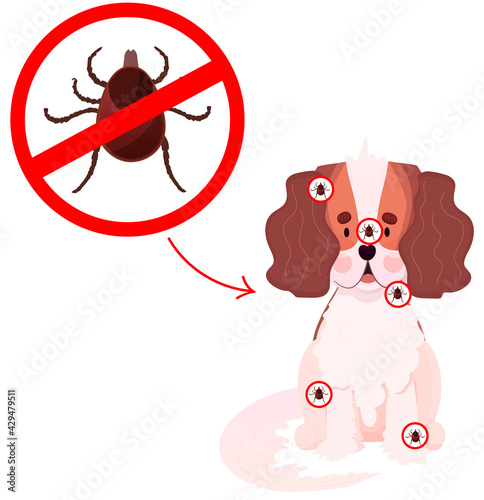 Mite on dog, tick insect. Veterinary for the Protection of Animals. Protection from tick dangerous disease and infection. Babesiosis, Ehrlichiosis and Borreliosis.Vector illustration