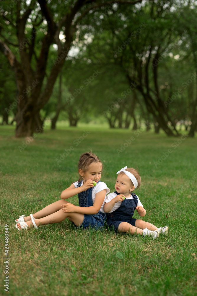 Fototapeta premium Two sisters sit in the park on the grass and eat apples. Mini picnic in the fresh air. Healthy, complete and proper baby food.