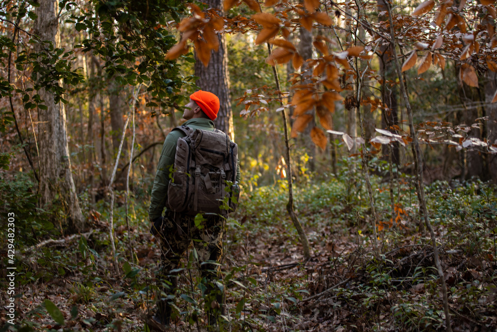 Man hiking hunting in woods