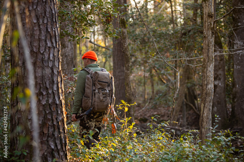 Hunter in woods hiking