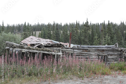 historic place in Yukon, houses made of wood, silver city burwash landing, canada photo