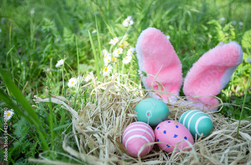 Easter eggs and bunny ears on grass