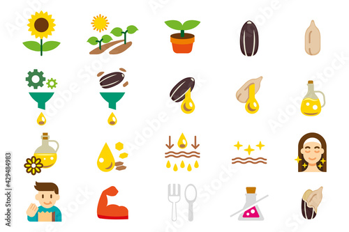 Extraction of sunflower oil seeds. Benefit oil and products from sunflowers color icon set.