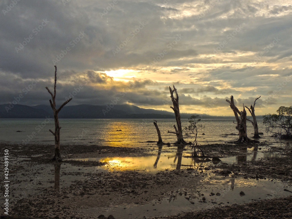 sunset, beach, sea, sky, water, ocean, sun, sunrise, nature, landscape, sand, dusk, cloud, coast, blue, clouds, tree, winter, summer, evening, orange, beautiful, travel, twilight, morning sunset, beach, sea, sky, water, ocean, sun, sunrise, nature, landscape, sand, dusk, cloud, coast, blue, clouds, tree, winter, summer, evening, orange, beautiful, travel, twilight, morning