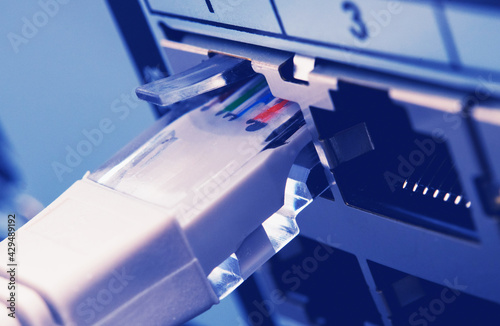 Fotografie RJ 45 Cable Inserted Into Server Machine