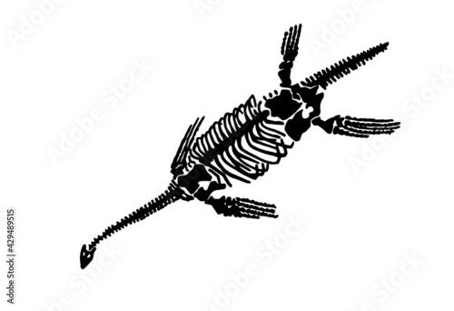 Graphical skeleton of Loch ness monster isolated on white,water dinosaur fossils
