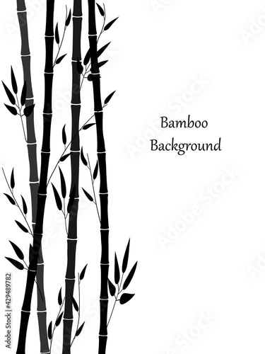 Minimalistic background with bamboo. Bamboo stems and leaves are intertwined. Nice vertical border and place for text. Vector illustration of bamboo forest. Black silhouette of plants. Simple pattern