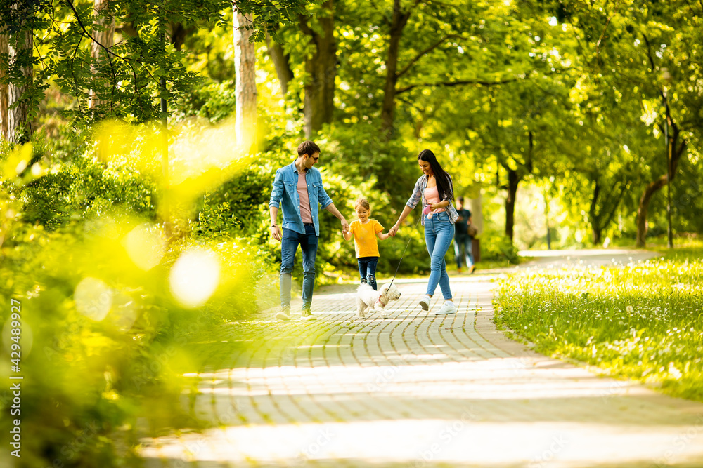 Happy family with cute bichon dog in the park Happy family with cute bichon dog in the park