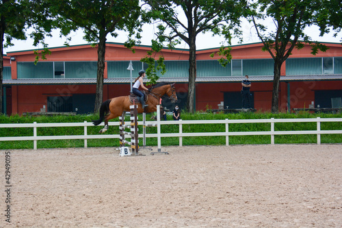 show jumping lessons