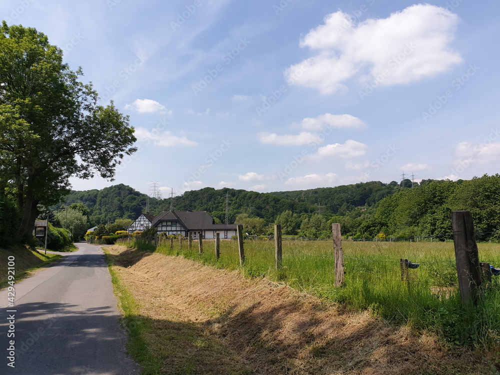 Fototapeta premium landschaft