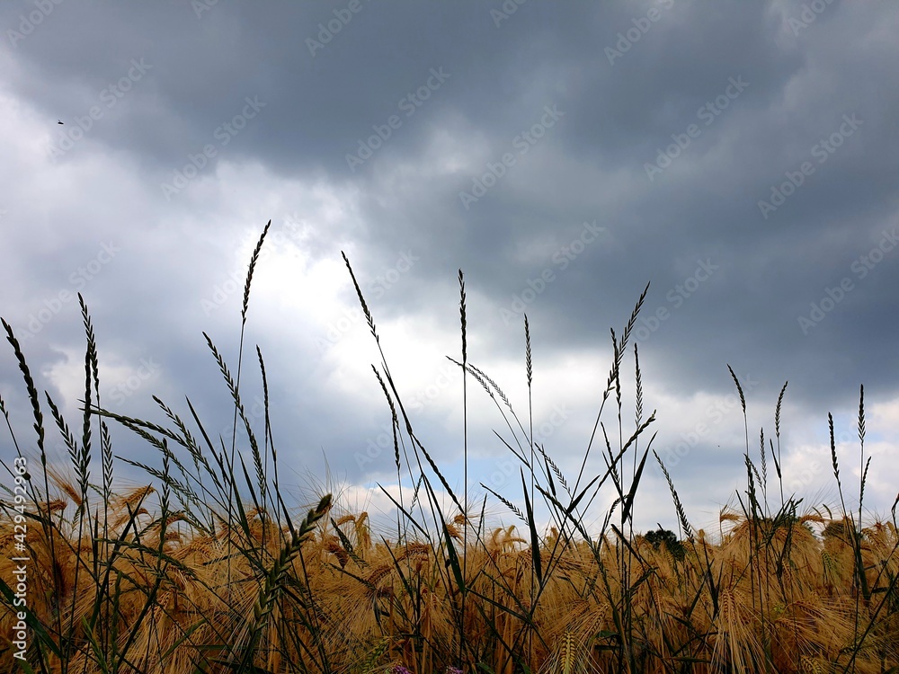 natur landschaft natur landschaft