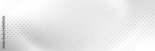 Abstract White Gray background. Blur neutral backdrop. Lecture, seminar, symposium, workshop, conference or briefing presentation template. White vector illustration