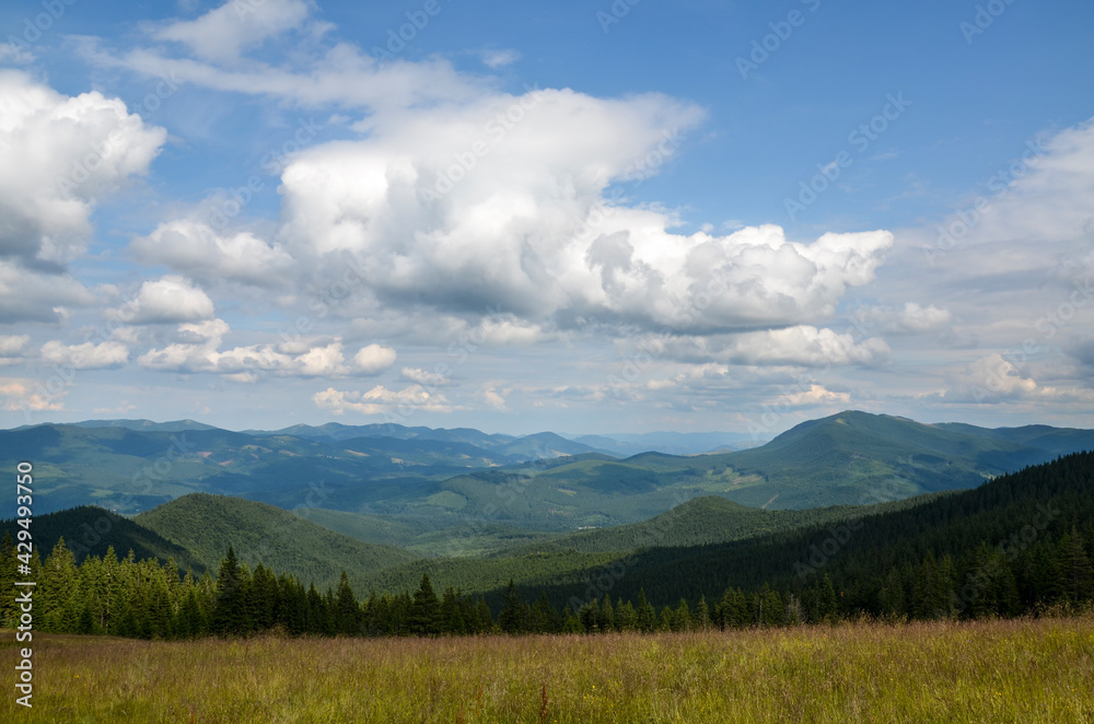 Beautiful nature landscape with green forests, valley and mountain ridge on background under cloudy sky. Mountain scenery in Ukrainian Carpathian Mountains