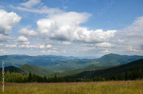 Beautiful nature landscape with green forests, valley and mountain ridge on background under cloudy sky. Mountain scenery in Ukrainian Carpathian Mountains © Dmytro