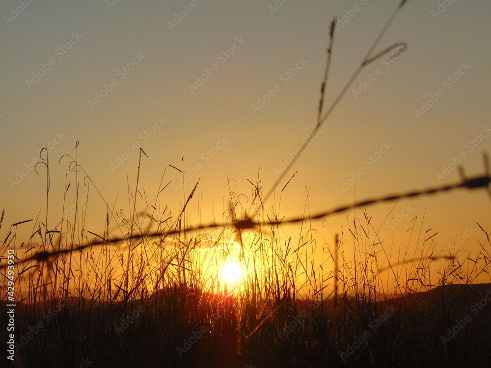 Fototapeta premium Por do Sol