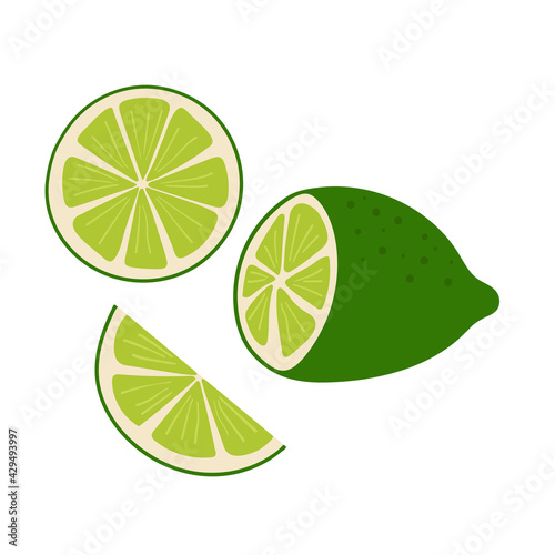 Set of green whole, half, cut slice lime. 
Tropical citrus fruits. Healthy and vegan food.
Hand drawn vector illustration isolated on white background.