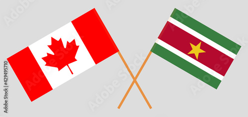 Crossed flags of Canada and Suriname. Official colors. Correct proportion
