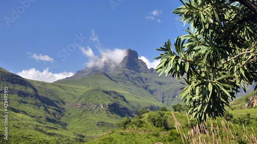 Drakensberge/Südafrika photo