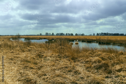 Sumpflandschaft  in Ostfriesland