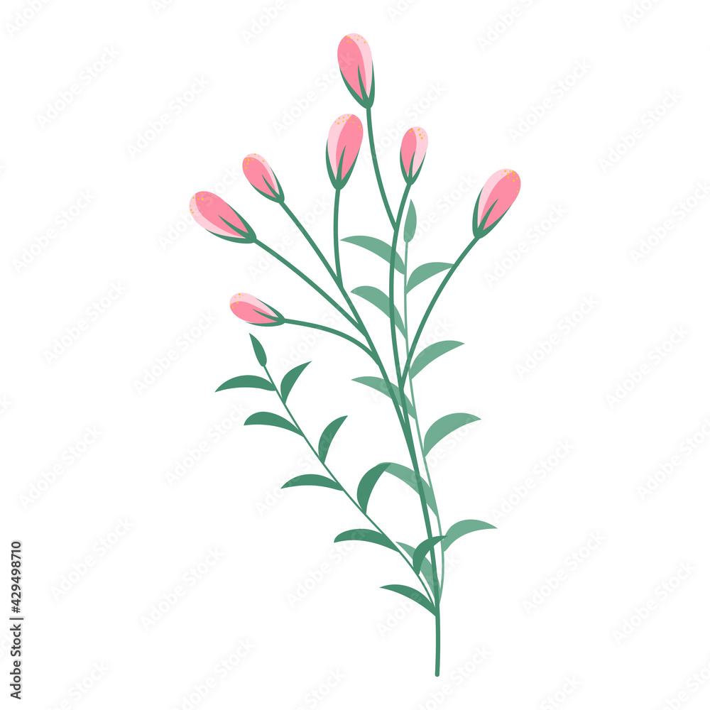 Elegant bouquet of pink flowers and green plants. Floral element for spring holidays celebration.