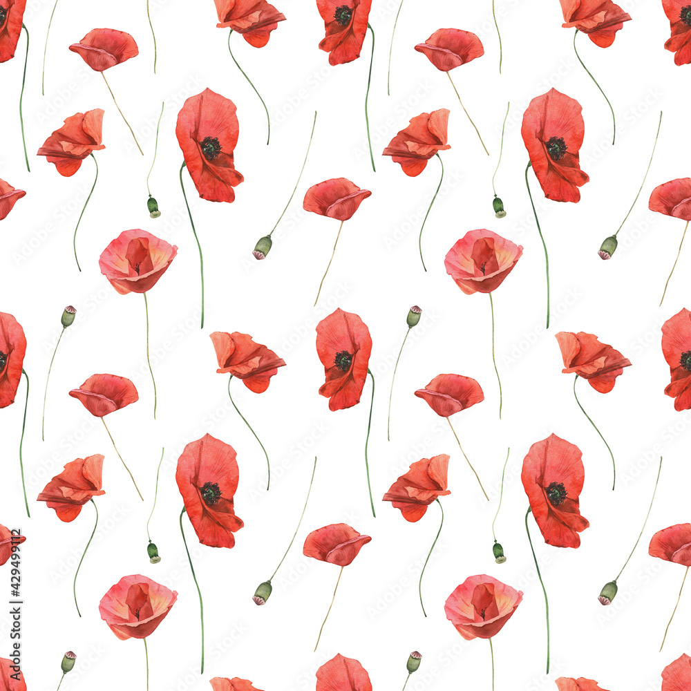 Fototapeta Watercolor seamless pattern with poppies on white background.