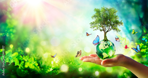Fototapeta Naklejka Na Ścianę i Meble -  Environment - Tree Growth On Planet In Green Forest With Butterflies