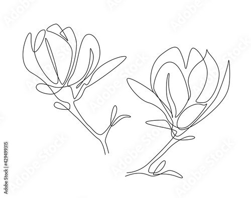 Magnolia flowers in one line art style. Continuous drawing can used for icon, wall art prints, posters, magazine, postcard, emblem, logo. Abstract Vector illustration
