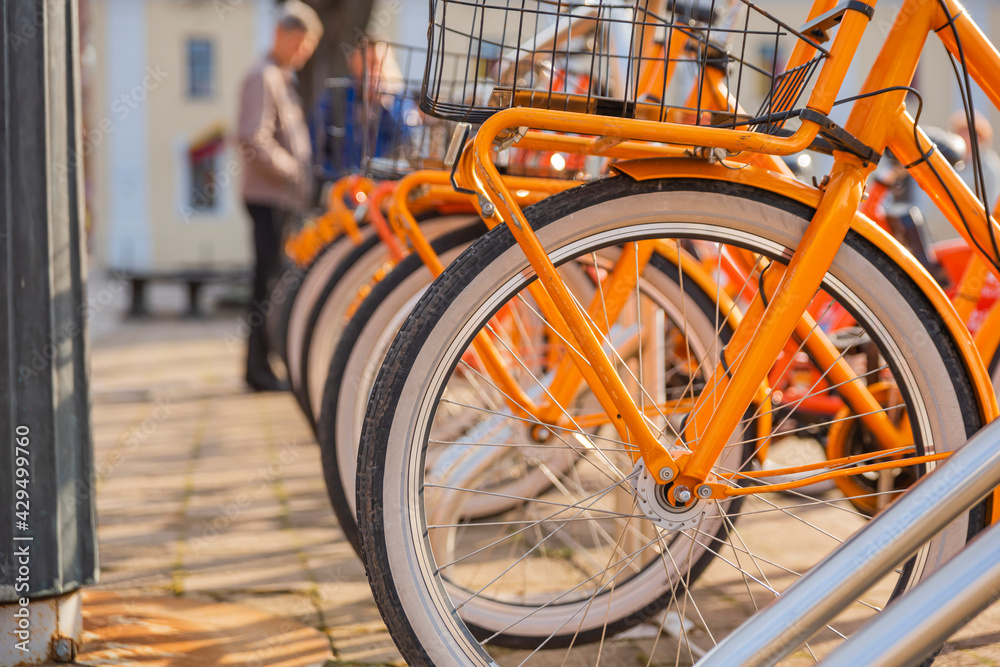 City orange bicycles, ecological transport, bicycle rental for tourists. advertising space