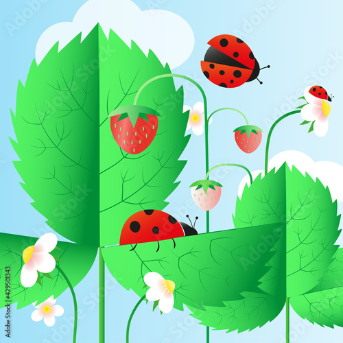 Ladybug on a strawberries. Summer flat illustration 