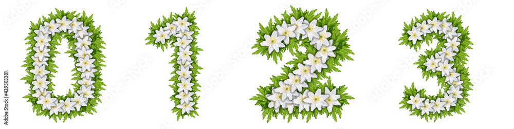Numbers 0, 1, 2, 3 made of white flowers with leaves, snowdrop