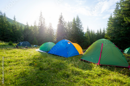 Camping and tents in the forest at sunset