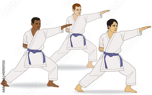 karate three males cultural diversity in kata stance isolated on a white background